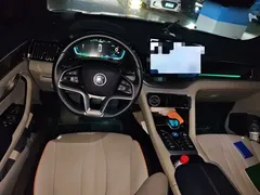 2021 BYD Song PLUS DM-i PHEV 110KM Flagship Plus — фото 5