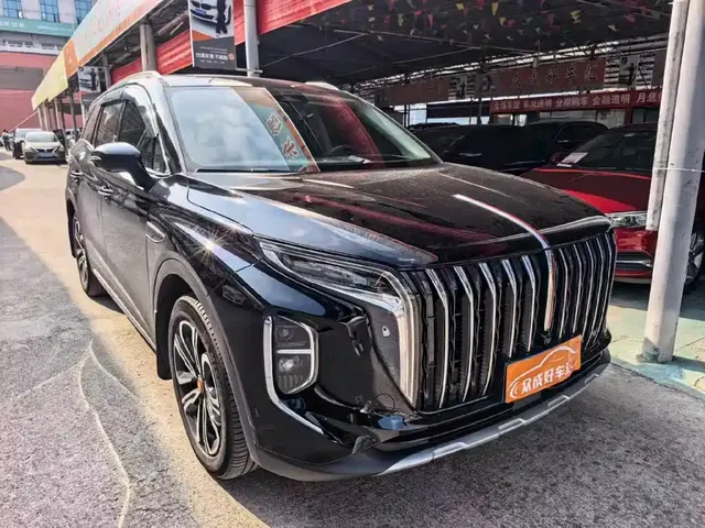 2023 Hongqi HS7 2.0T AT 4WD Qiling 6