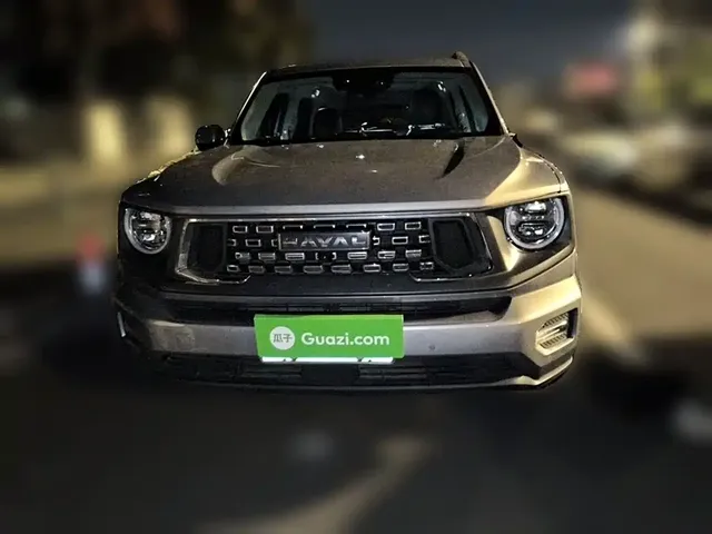 2023 Haval Dargo PLUS 2.0T 2WD Plus