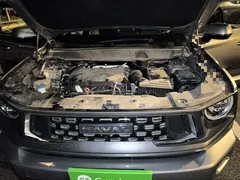 2023 Haval Dargo PLUS 2.0T 2WD Plus — фото 16
