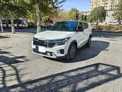 2023 Kia Seltos 1.5L CVT Luxury, белый — фото 1