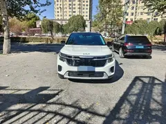 2023 Kia Seltos 1.5L CVT Luxury, белый — фото 2