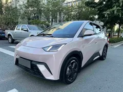 2024 BYD Seagull EV 305km Honor Freedom — фото 1