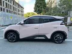 2024 BYD Seagull EV 305km Honor Freedom — фото 2