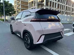 2024 BYD Seagull EV 305km Honor Freedom — фото 3