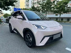 2024 BYD Seagull EV 305km Honor Freedom — фото 6
