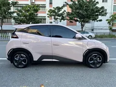 2024 BYD Seagull EV 305km Honor Freedom — фото 7