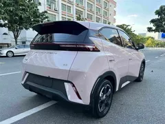 2024 BYD Seagull EV 305km Honor Freedom — фото 8