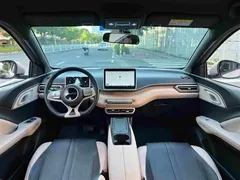 2024 BYD Seagull EV 305km Honor Freedom — фото 12