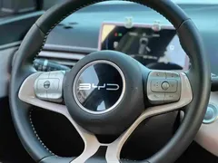 2024 BYD Seagull EV 305km Honor Freedom — фото 13