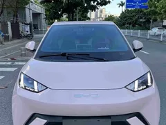 2024 BYD Seagull EV 305km Honor Freedom — фото 14