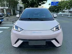 2024 BYD Seagull EV 305km Honor Freedom — фото 15