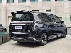 2024 Hongqi HQ9 2.0T 4WD Luxury — фото 6