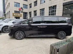 2024 Hongqi HQ9 2.0T 4WD Luxury — фото 7