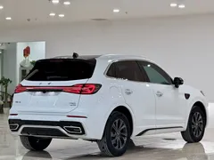 2023 Hongqi HS5 2.0T Pro, белый — фото 11