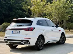2023 Hongqi HS5 2.0T Qiling Pro, белый — фото 9