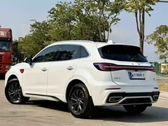 2023 Hongqi HS5 2.0T Qiling Pro, белый — фото 10