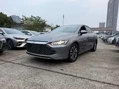 2023 BYD Qin PLUS Champion DM-i PHEV 55KM Leading — фото 1
