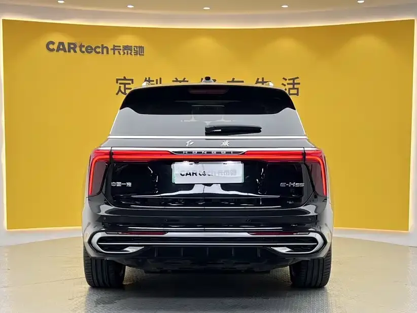 2022 Hongqi E-HS9 690km 6-seat