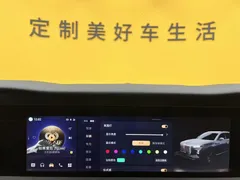 2022 Hongqi E-HS9 EV 660km Qichang 6-seat, чёрный — фото 33