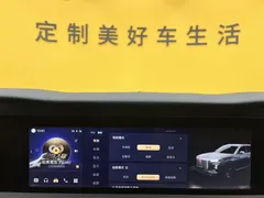 2022 Hongqi E-HS9 EV 660km Qichang 6-seat, чёрный — фото 37