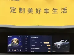 2022 Hongqi E-HS9 EV 660km Qichang 6-seat, чёрный — фото 39