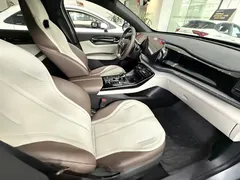 2024 BYD Qin PLUS Honor DM-i PHEV 55km Leading — фото 8
