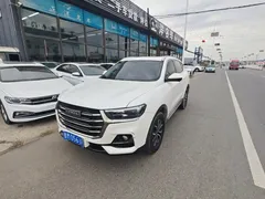 2021 Haval H6 1.5T AT Guochao Urban, белый — фото 1