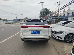 2021 Haval H6 1.5T AT Guochao Urban, белый — фото 5