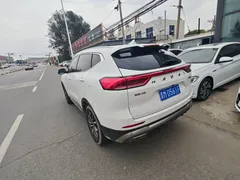 2021 Haval H6 1.5T AT Guochao Urban, белый — фото 6