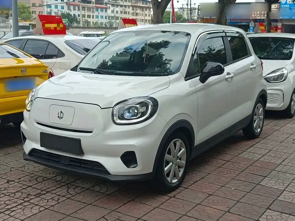 2022 Leapmotor T03 Haoyu
