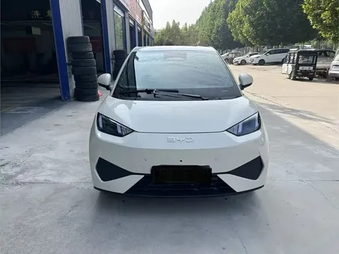 2025 BYD Seagull Smart Driving 305km Freedom
