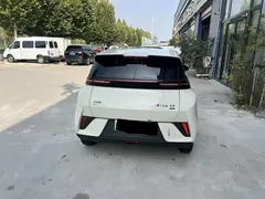 2025 BYD Seagull Smart Driving 305km Freedom, белый — фото 5