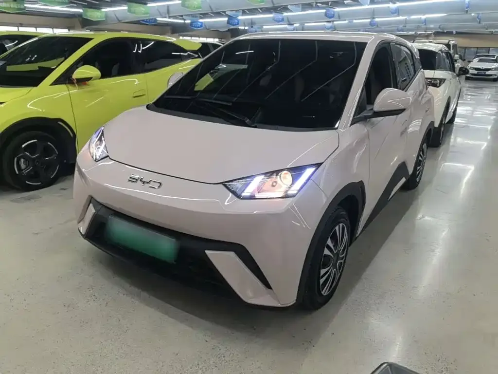 2024 BYD Seagull Honor 305km Vitality