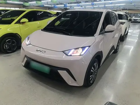 2024 BYD Seagull Honor 305km Vitality