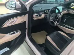 2024 BYD Seagull Honor 305km Vitality, чёрный — фото 16