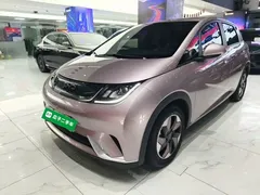 2025 BYD Dolphin 420km Fashion — фото 1