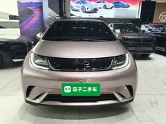 2025 BYD Dolphin 420km Fashion — фото 3