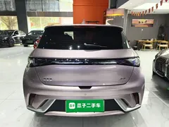 2025 BYD Dolphin 420km Fashion — фото 6