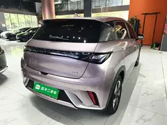 2025 BYD Dolphin 420km Fashion — фото 7