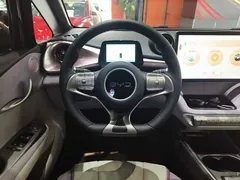 2025 BYD Dolphin 420km Fashion — фото 11