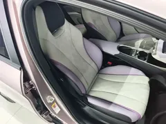 2025 BYD Dolphin 420km Fashion — фото 25