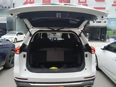 2023 Haval H6 1.5T AT Guochao Urban, белый — фото 19