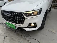 2023 Haval H6 1.5T AT Guochao Urban, белый — фото 24