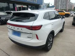 2021 Haval H6 3rd Gen 1.5T AT 2WD Pro, белый — фото 7