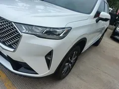 2021 Haval H6 3rd Gen 1.5T AT 2WD Pro, белый — фото 24