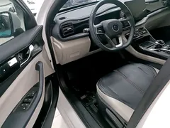 2021 BYD Qin PLUS DM-i PHEV 55km Premium, белый — фото 16