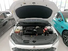2021 BYD Qin PLUS DM-i PHEV 55km Premium, белый — фото 20