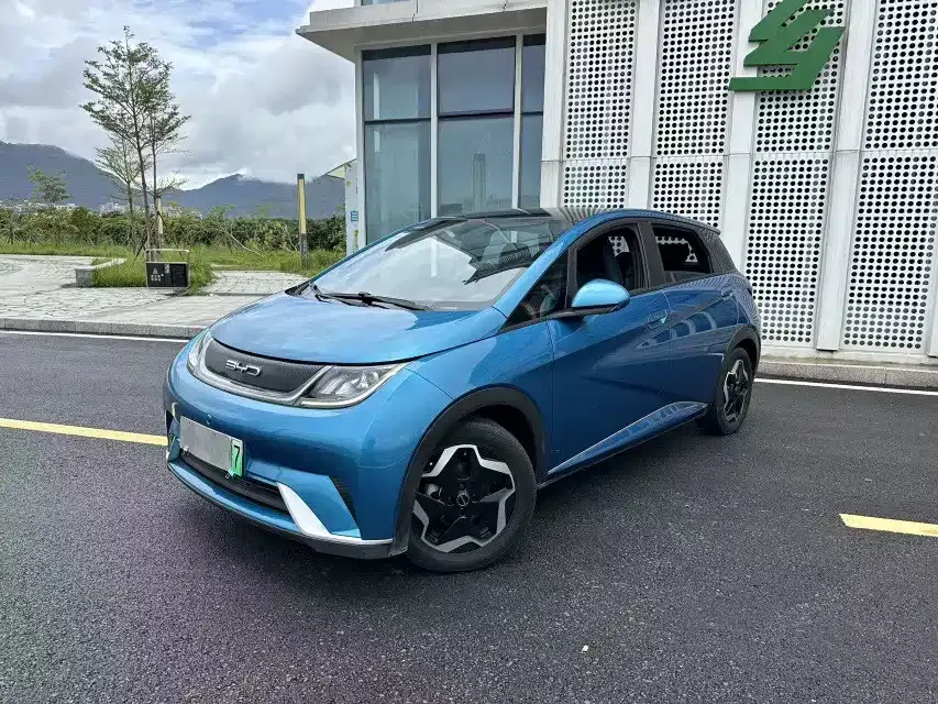 2021 BYD Dolphin 405km Fashion