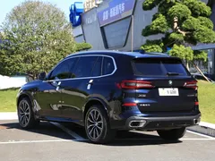 2022 BMW X5 30Li Premium M Sport Package, чёрный — фото 22